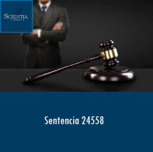 Sentencia 24558 – IMPUESTO AL PATRIMONIO.